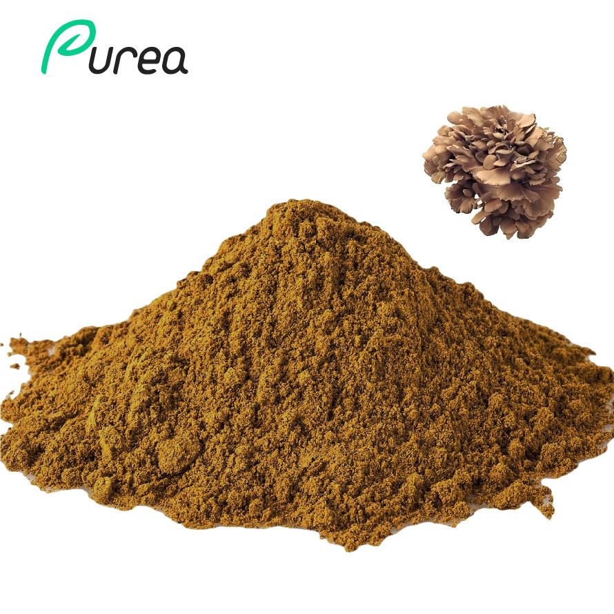 Maitake Sliocht Púdar